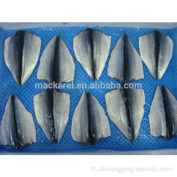 BQF/IQF Frozen Mackerel Flaps พร้อมมาตรฐาน EU